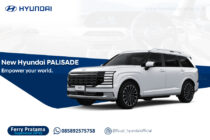 Palisade