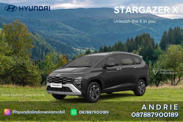 STARGAZER X